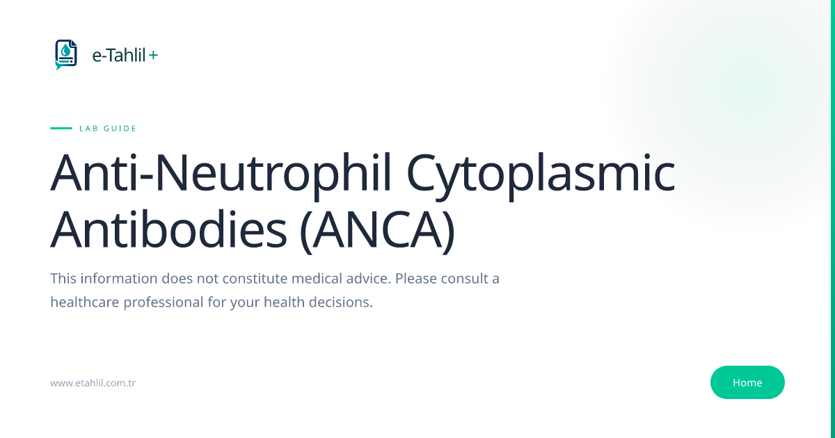 ANCA Blood Test Guide: p-ANCA & MPO Explained | e-Tahlil+
