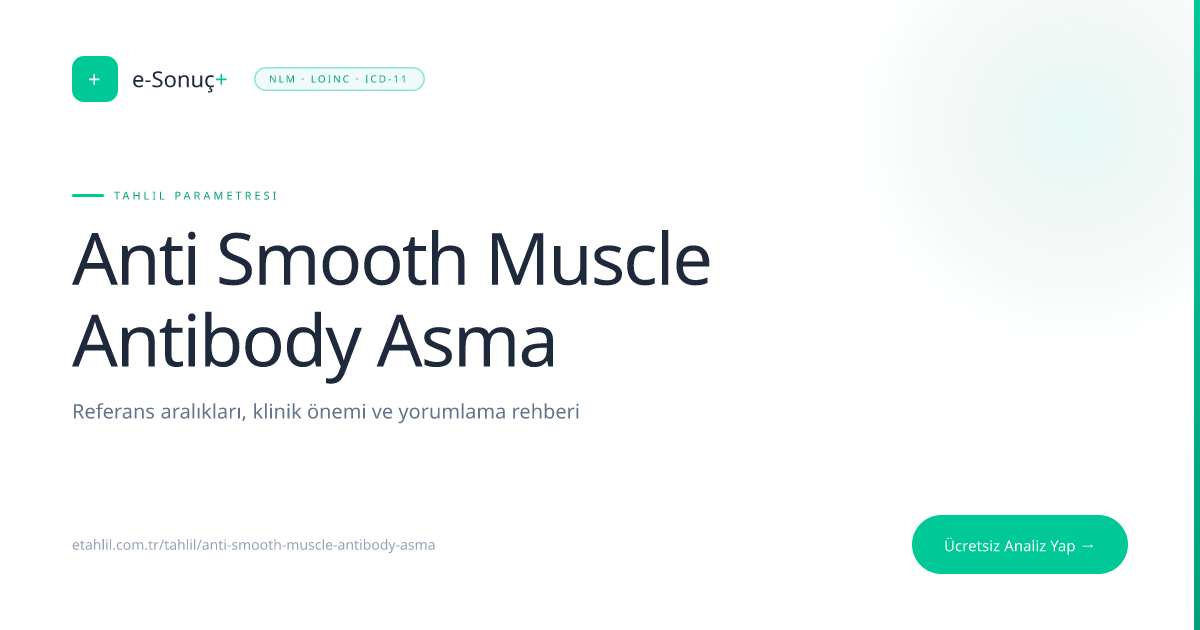 ASMA Test Guide: Autoimmune Hepatitis Diagnosis | e-Tahlil+
