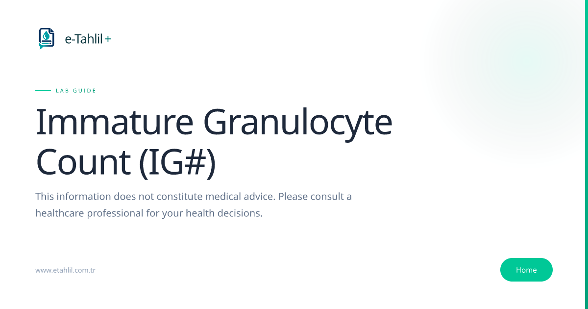 Immature Granulocyte Count (IG#) Test: Levels & Meaning | e-Tahlil+